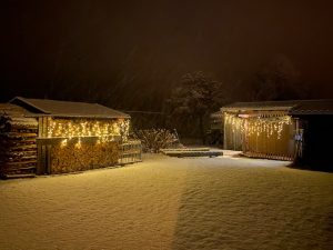 IMG_2243